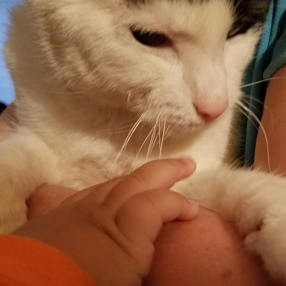 Meet your Posher, Gail